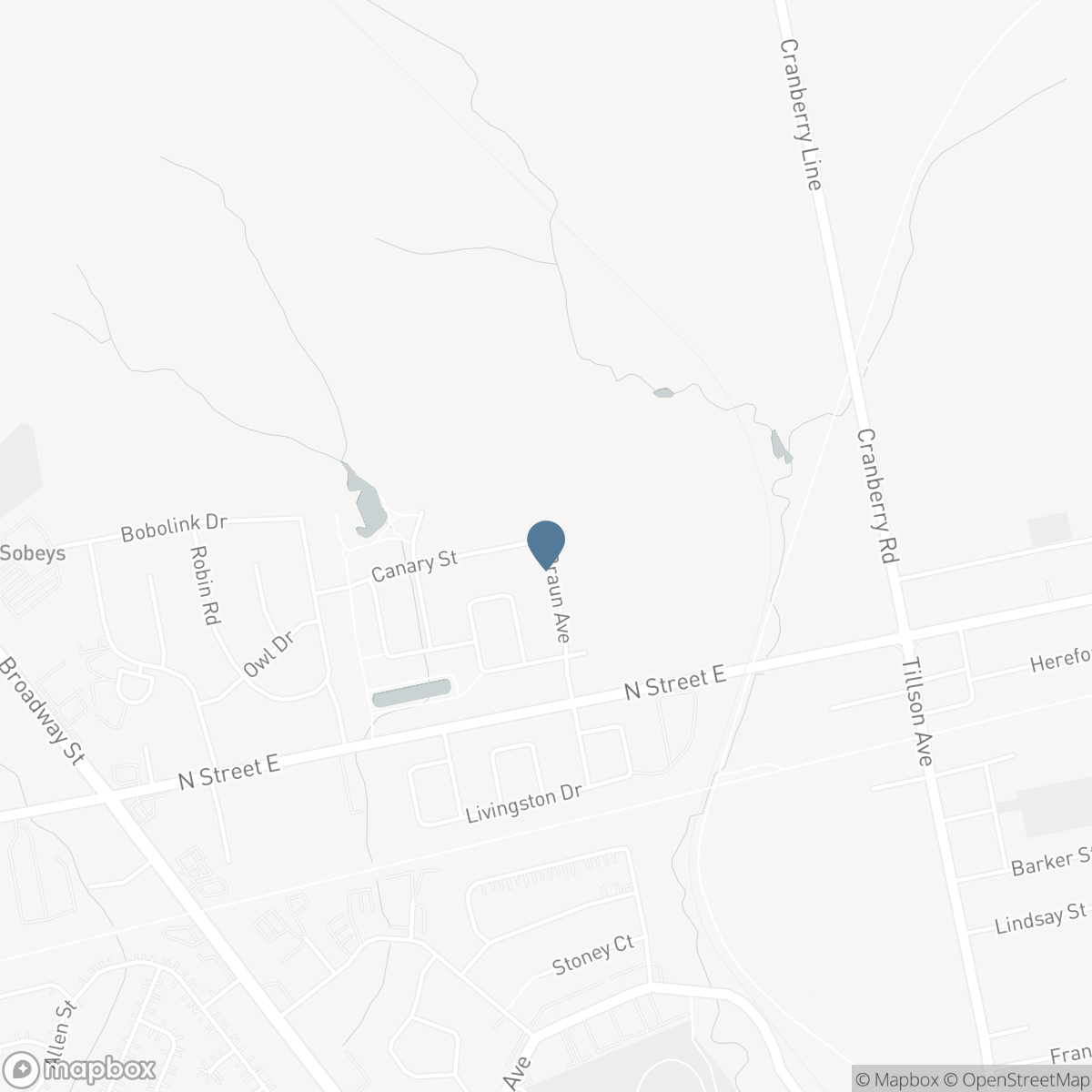 58 BRAUN AVENUE, Tillsonburg, Ontario N4G 0K4